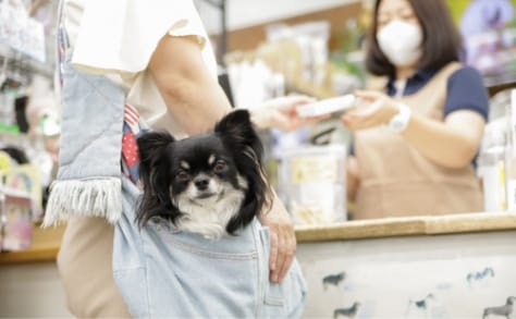 受付・ご予約